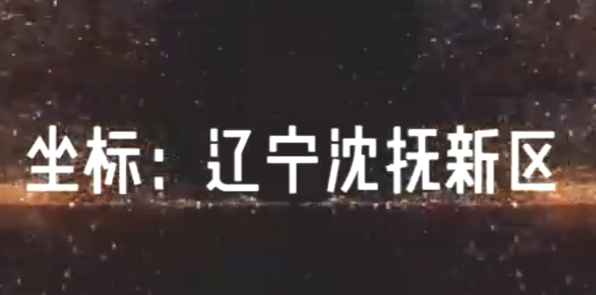 辽宁沈抚新区煤改电工程案例