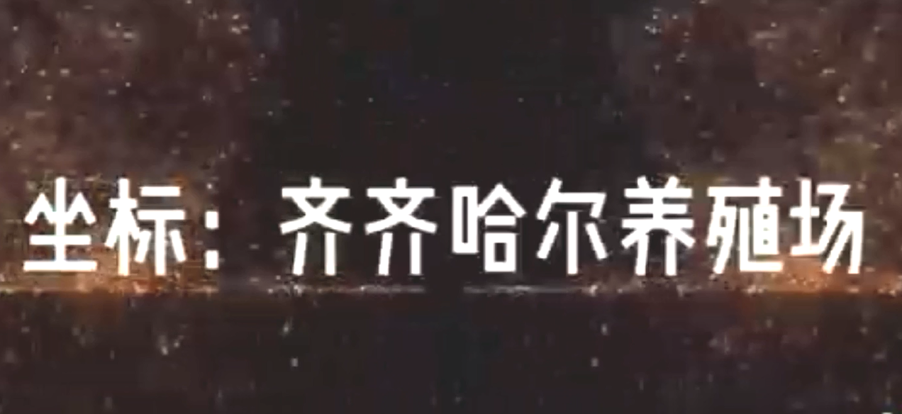 齐齐哈尔某养殖场案例现场